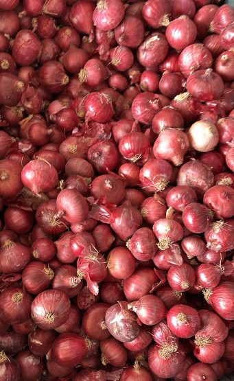 Pyaaz-white vinegar onion